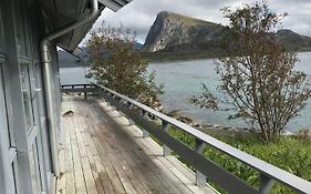 Lofoten Unique Waterfront Cabin